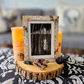 Birch-framed Through Thin Trees